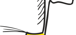 kon zolty.png