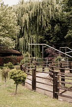 DSC00594.jpg